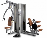 мультистанция профессиональная bencarfitness ts-2000