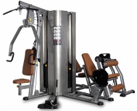 мультистанция профессиональная bencarfitness ts-3000